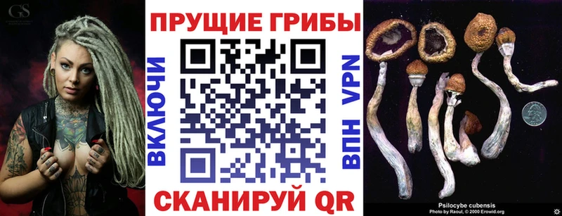 omg зеркало  Сорочинск  Галлюциногенные грибы прущие грибы 